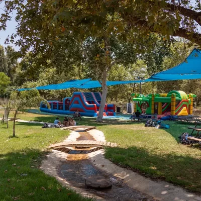 קייקים-74 copy